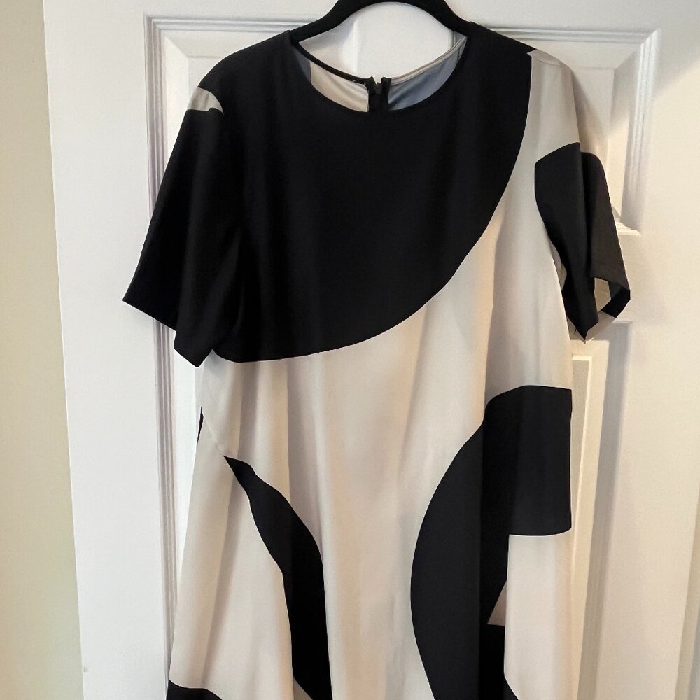Anthropologie Black and White Dress - Picture 3 of 4